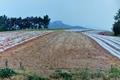 몽해리 몽해 유물 산포지 썸네일 이미지