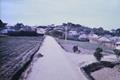 1960년도 영암읍 송평리 평장 마을 썸네일 이미지
