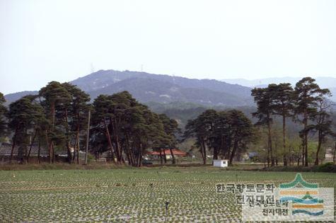 대표시청각 이미지