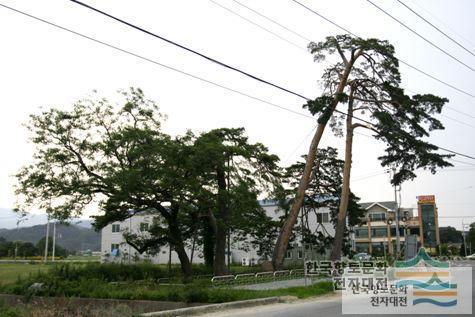 대표시청각 이미지